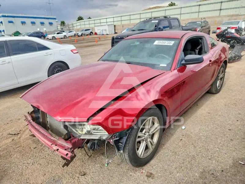 2014 Ford MUSTANG фото