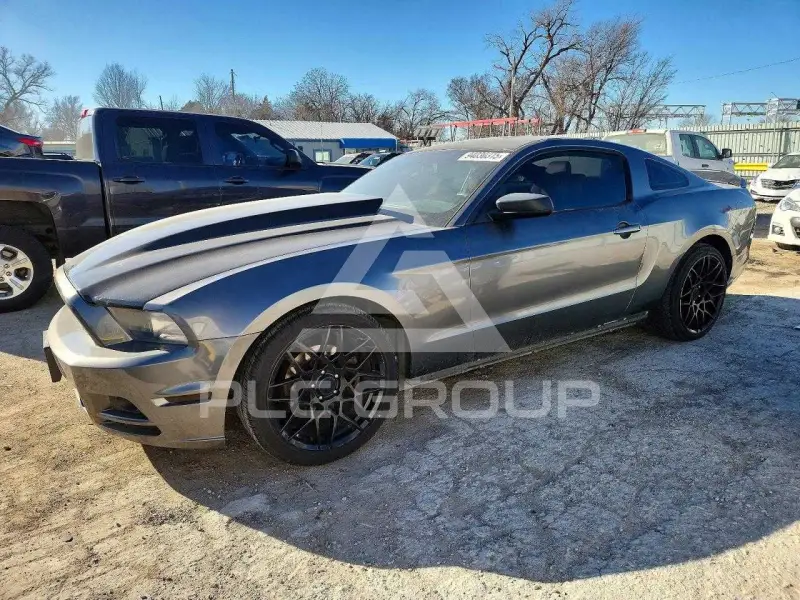 2014 Ford MUSTANG фото