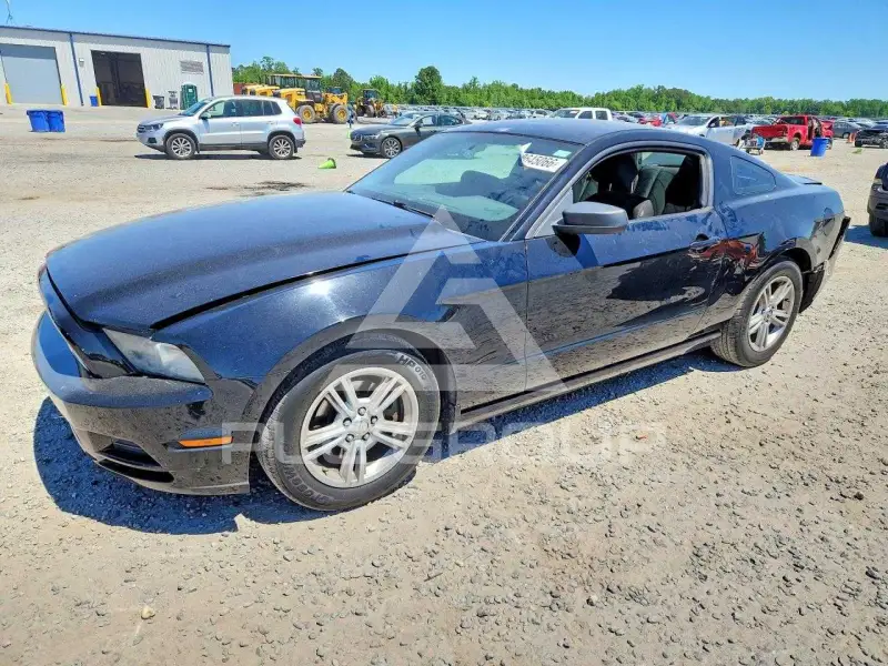 2014 Ford MUSTANG фото