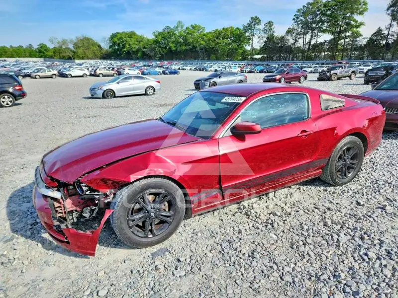 2014 Ford MUSTANG фото
