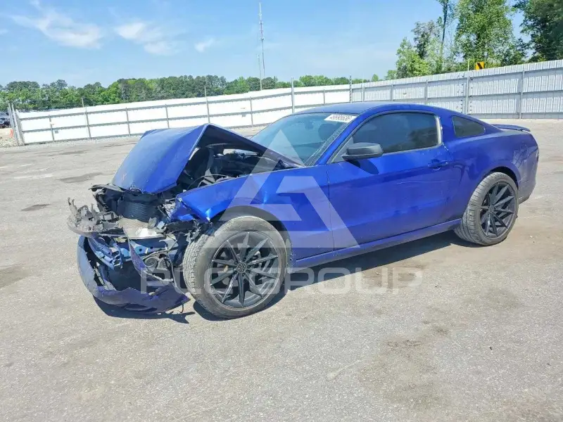 2014 Ford MUSTANG фото