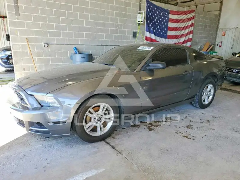 2014 Ford MUSTANG фото