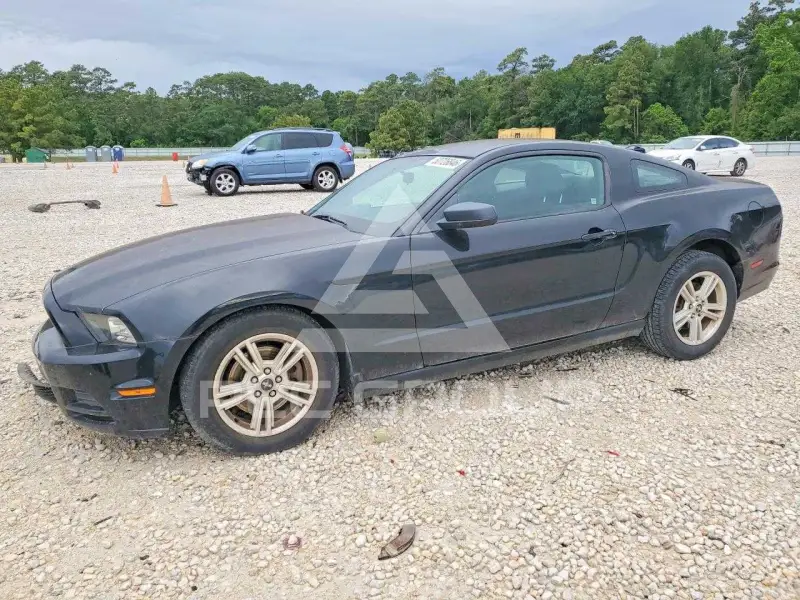 2014 Ford MUSTANG фото