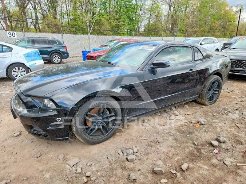 2014 Ford MUSTANG photo