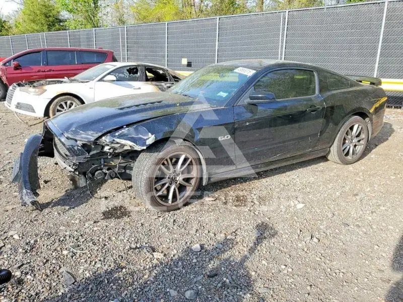 2014 Ford MUSTANG фото