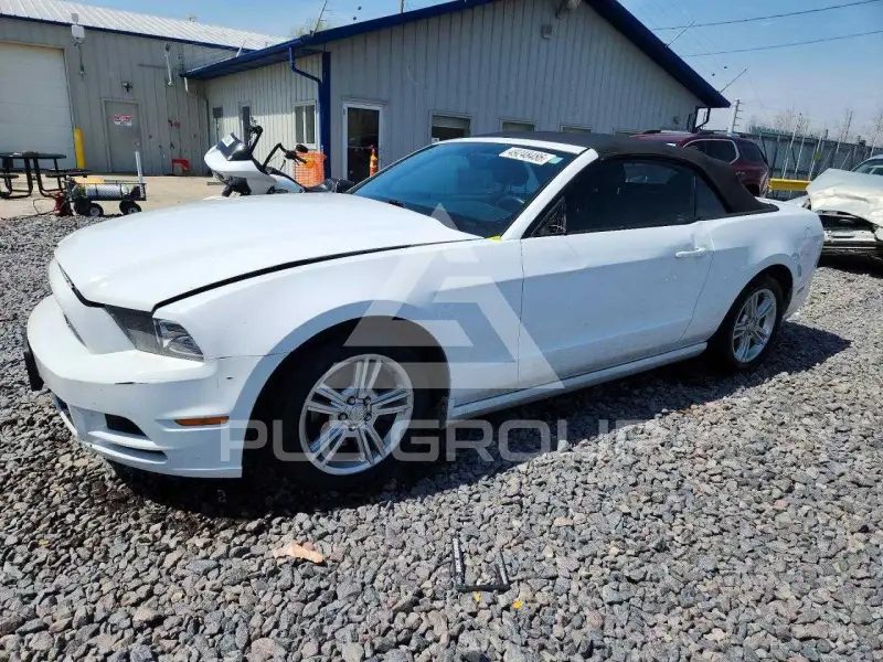 2014 Ford MUSTANG фото