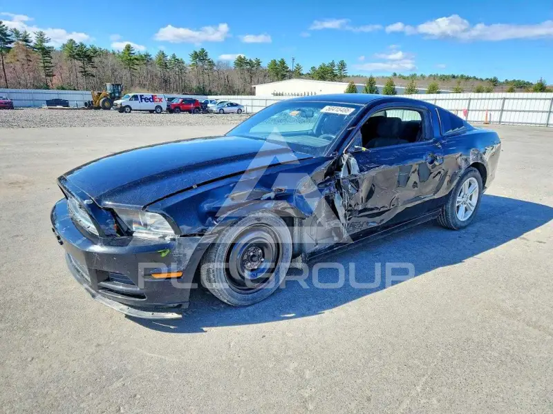 2014 Ford MUSTANG photo