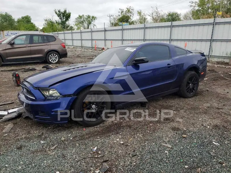 2014 Ford MUSTANG фото