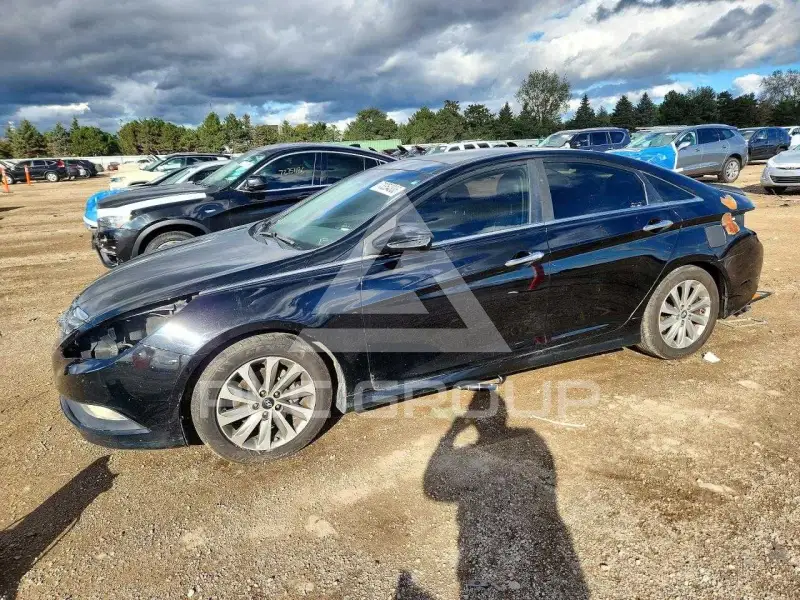 2014 Hyundai Sonata фото