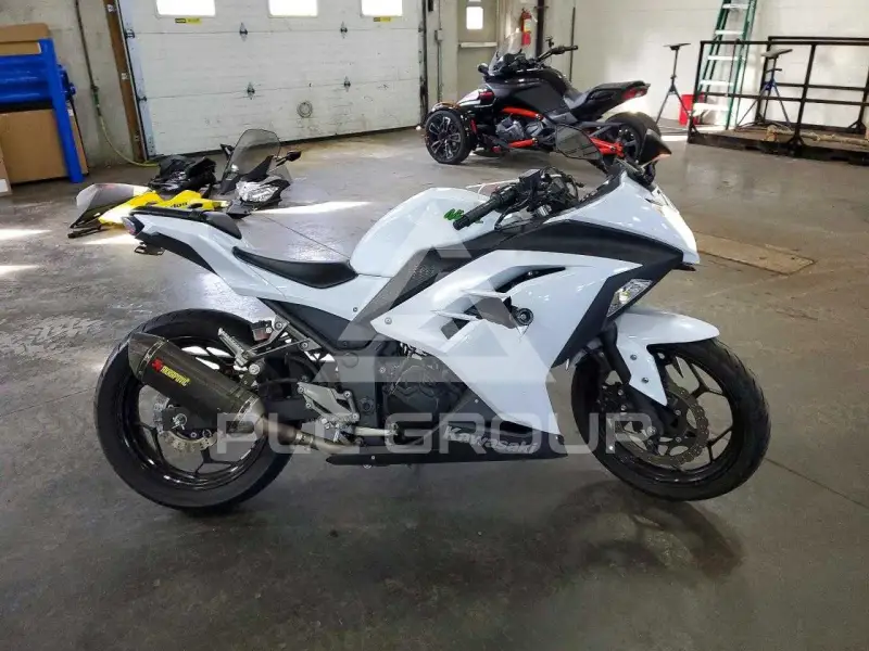 2015 Kawasaki  фото
