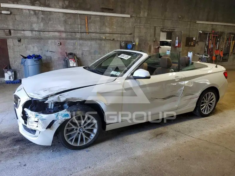 2015 BMW 228 фото