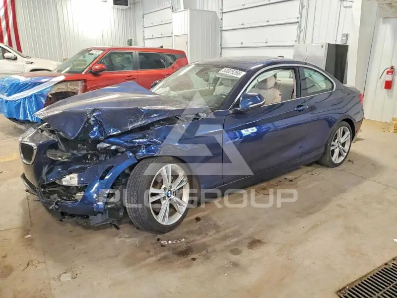 2015 BMW 228 фото