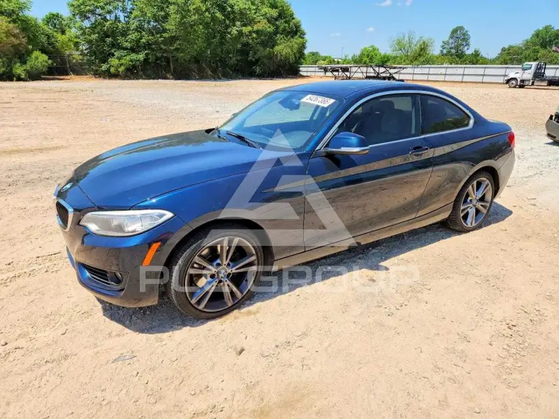 2015 BMW 228 фото