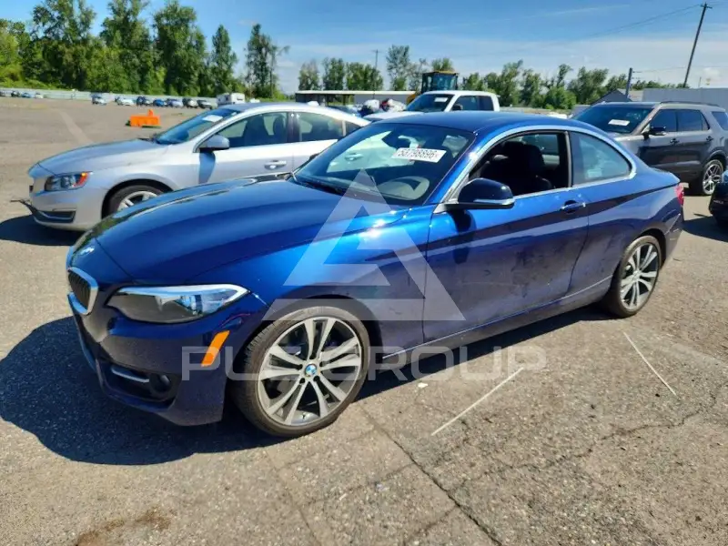 2015 BMW 228 photo