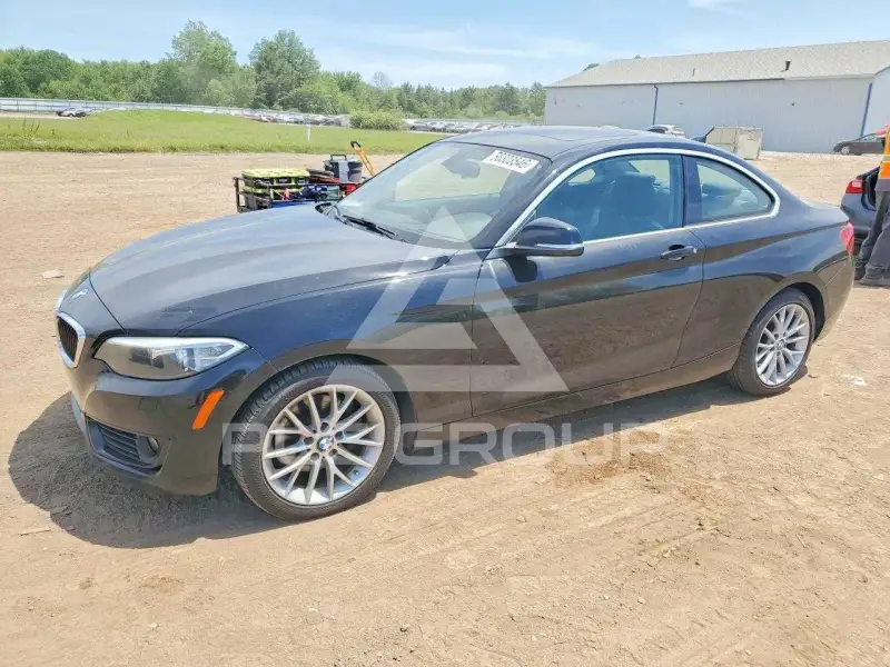 2015 BMW 228 фото