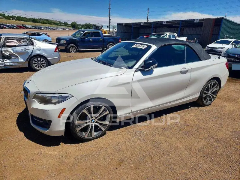 2015 BMW 228 фото