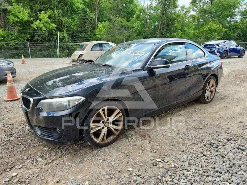2015 BMW 228 фото