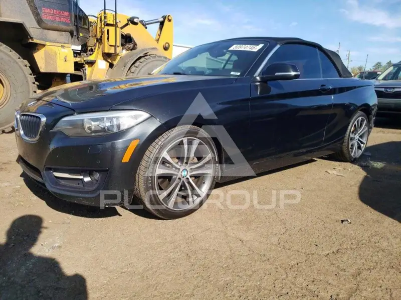 2015 BMW 228 фото