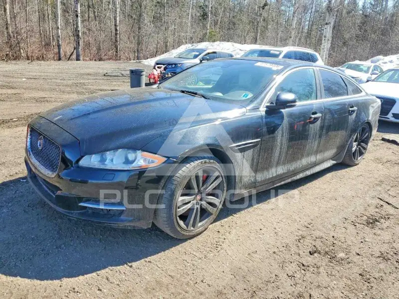 2015 Jaguar XJ фото