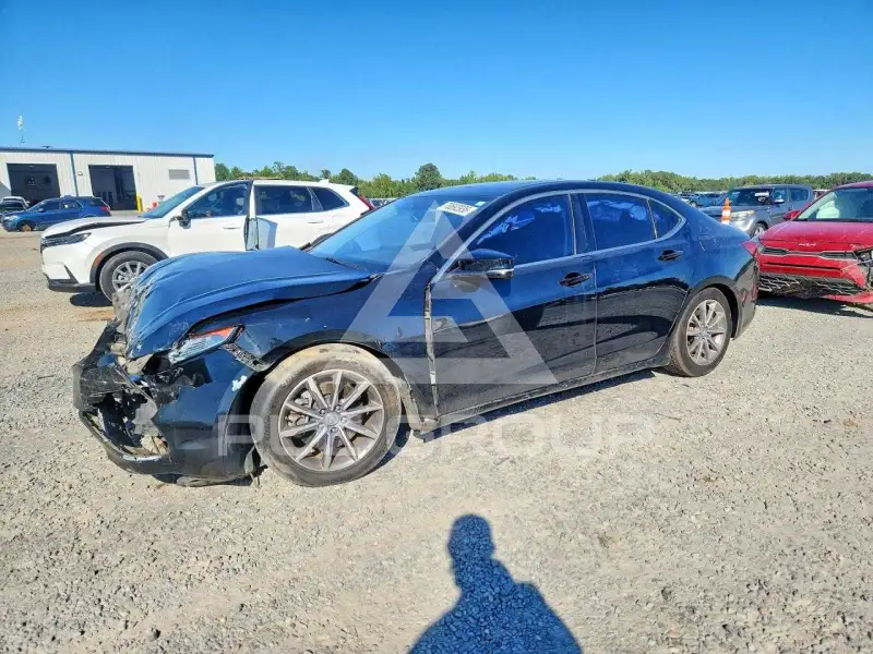 2015 Acura TLX фото