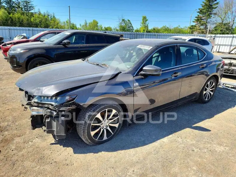 2015 Acura TLX photo