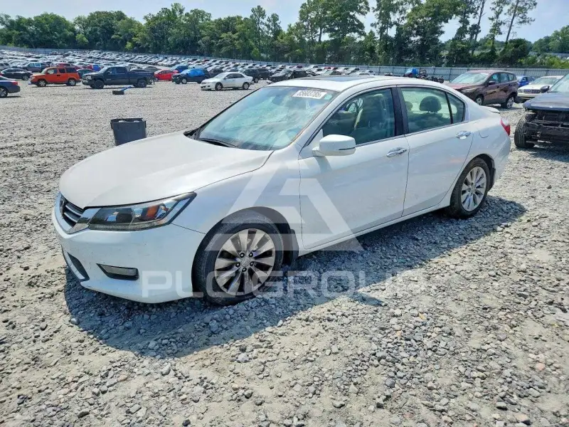2015 Honda Accord photo