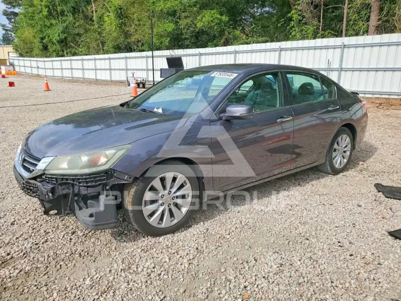 2015 Honda Accord photo
