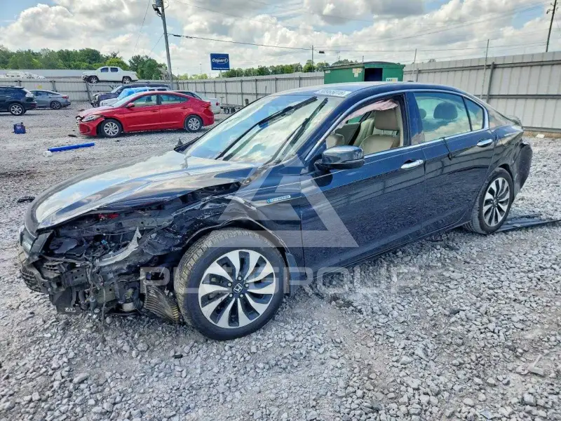 2015 Honda Accord photo