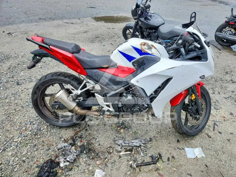2015 Honda CBR photo