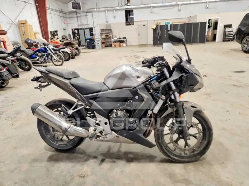2015 Honda CBR photo