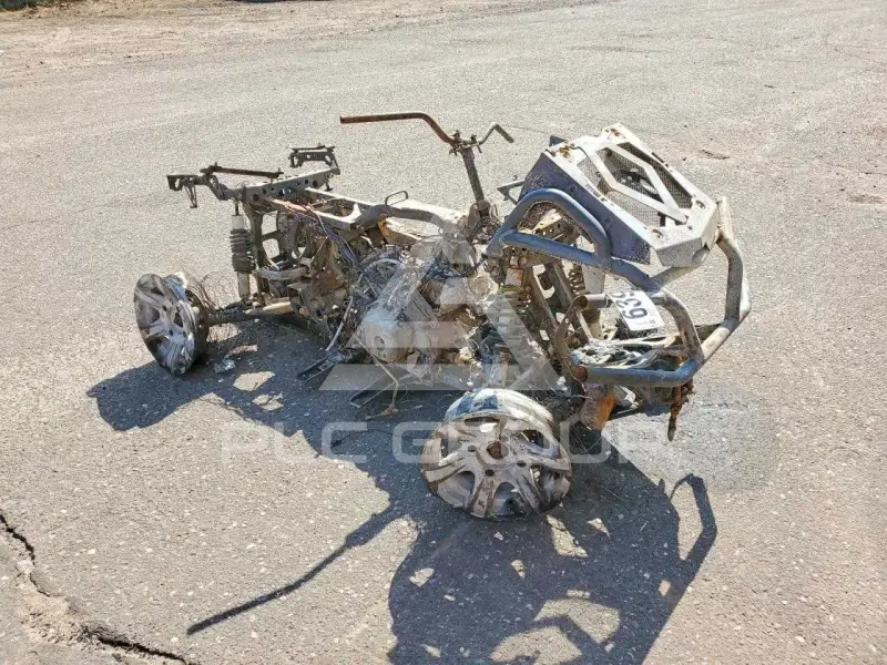 2015 Can-AM Atv фото