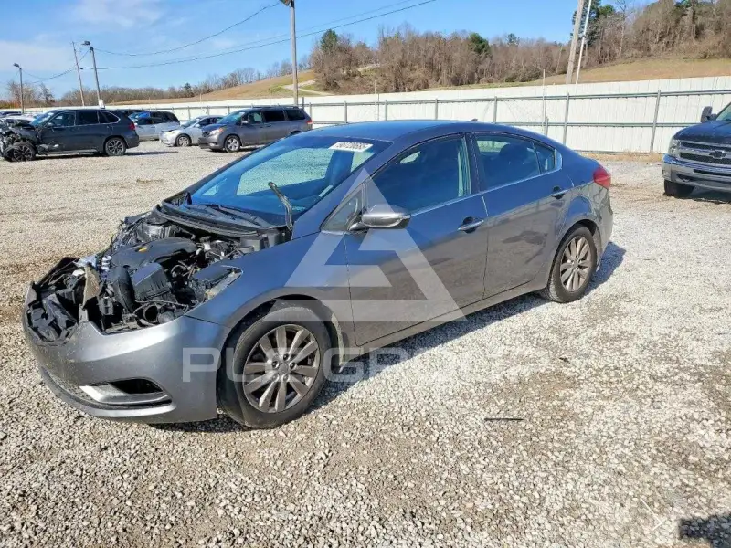 2015 KIA Forte фото