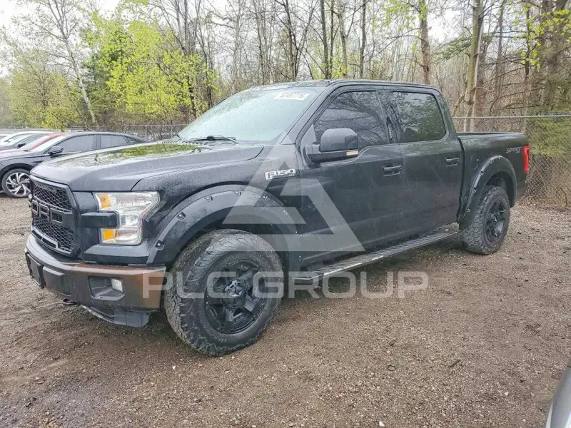 2015 Ford F-150 photo