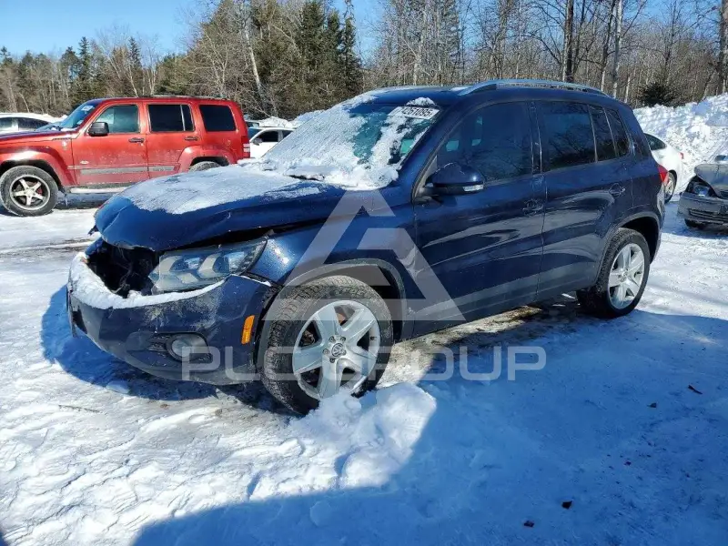 2015 Volkswagen Tiguan фото