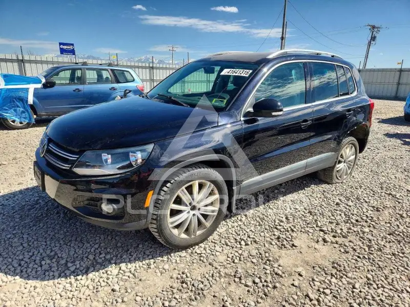 2015 Volkswagen Tiguan фото