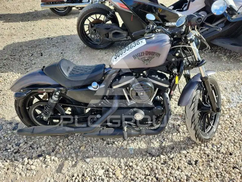 2016 Harley-Davidson XL883 фото