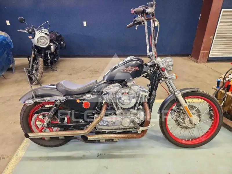 2016 Harley-Davidson Sportster120 фото