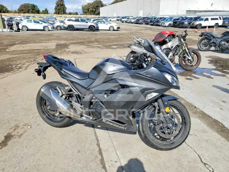 2016 Kawasaki EX300 фото