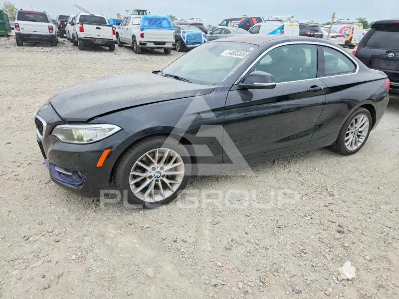 2016 BMW 228 фото
