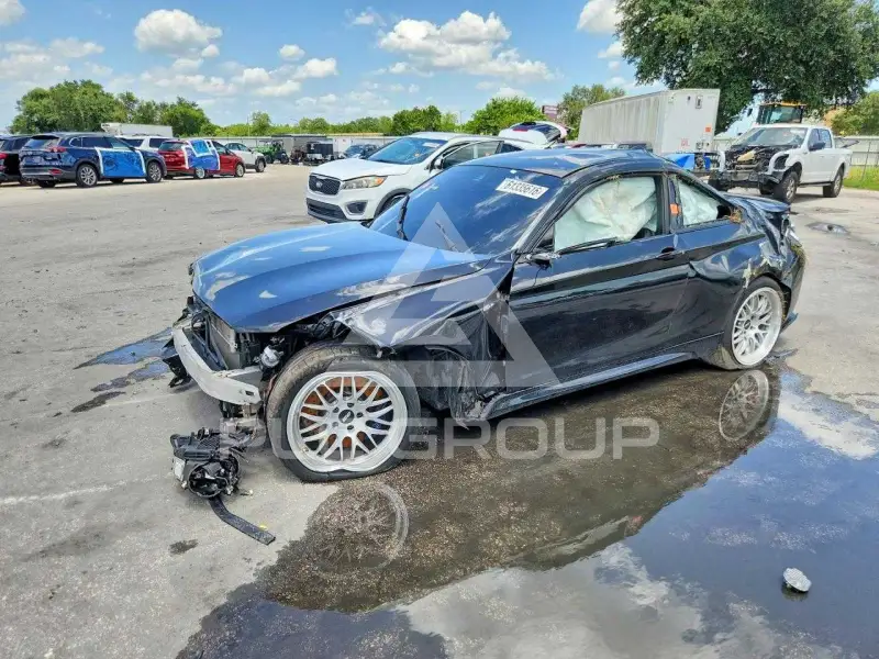 2016 BMW M2 photo