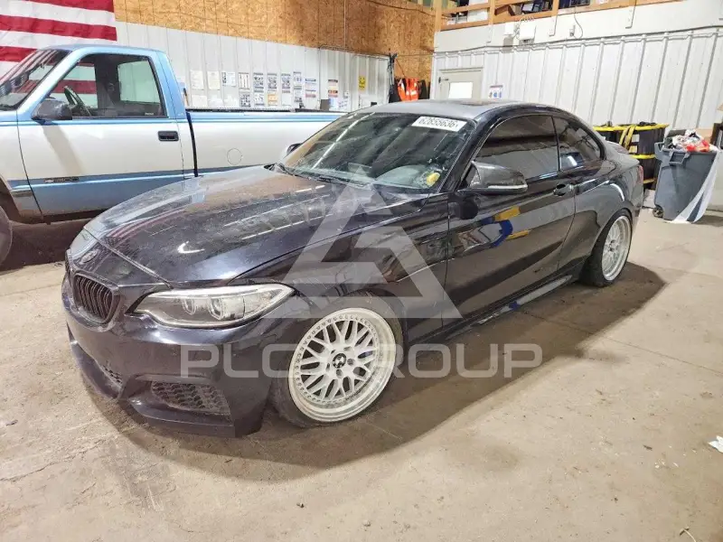 2016 BMW M2 фото