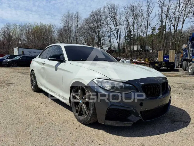 2016 BMW M2 фото