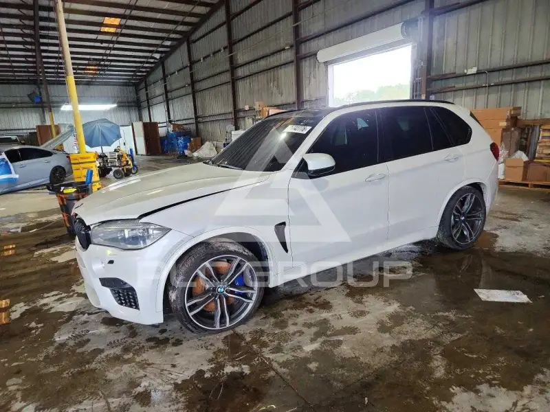 2016 BMW X5 photo