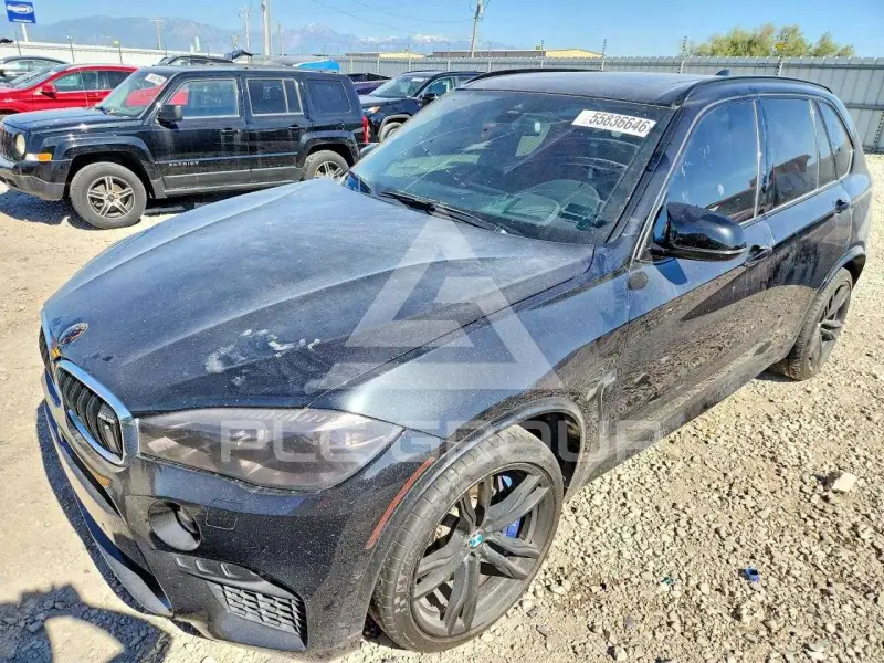 2016 BMW X5 photo