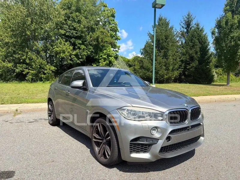 2016 BMW X6 photo