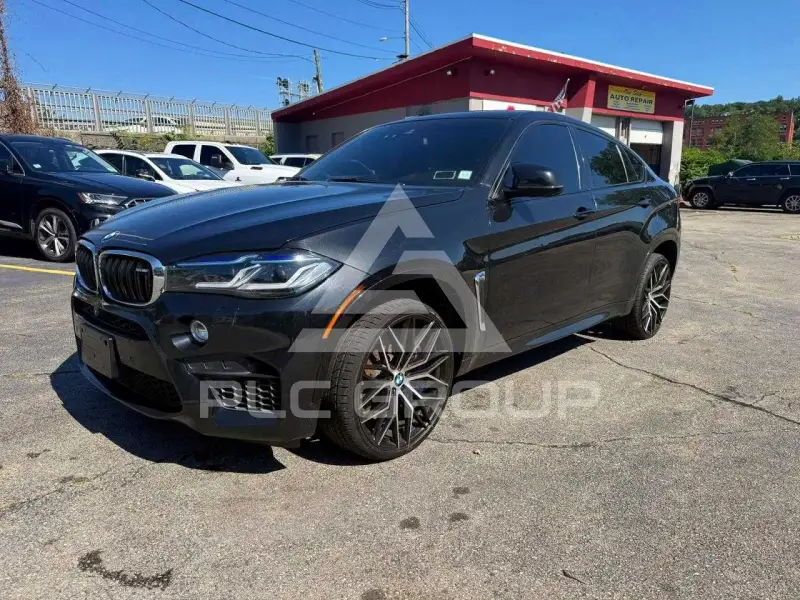 2016 BMW X6 фото