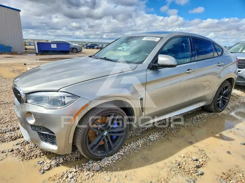 2016 BMW X6 фото