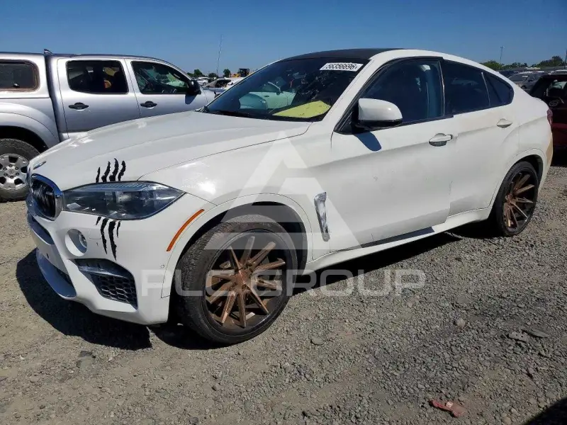 2016 BMW X6 photo