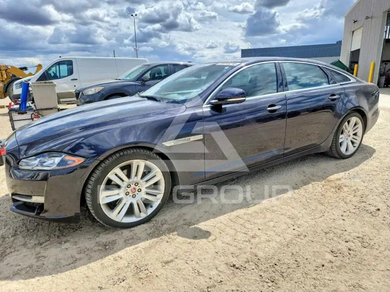 2016 Jaguar XJ фото