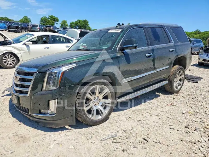 2016 Cadillac ESCALADE photo